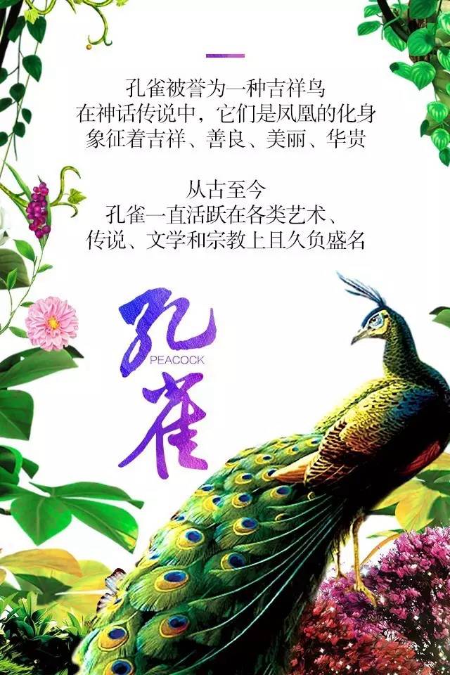 【915-918邵陽秋季車展】鳳臨枝頭，雀雀雀雀雀實驚艷！