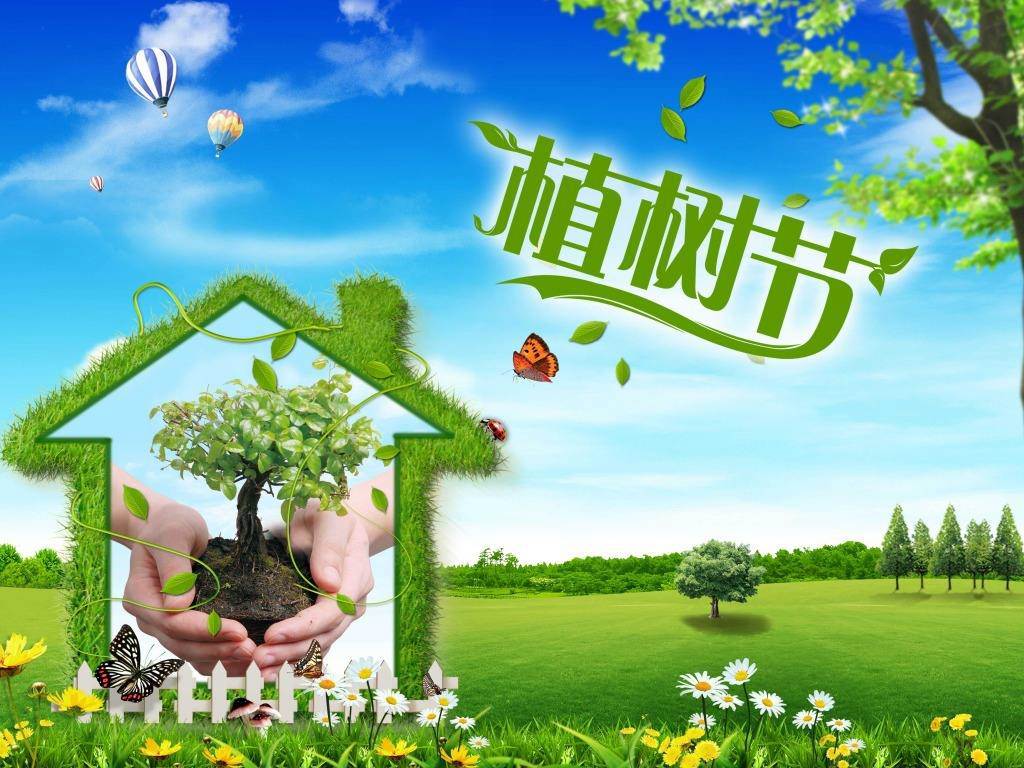 北京現(xiàn)代“智現(xiàn)代，植未來”，你我共建森林邵陽
