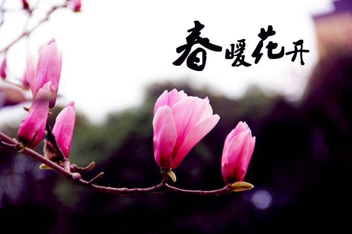 春暖花開 教你春季如何做汽車保養(yǎng)！