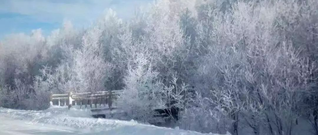 奕行記|奕路向北，駛向雪國阿爾山