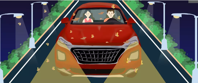 安全清除車身飛蟲，僅需十分鐘